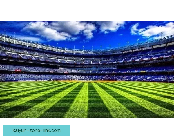 开云体育入口全新体验指南助你轻松畅享运动世界